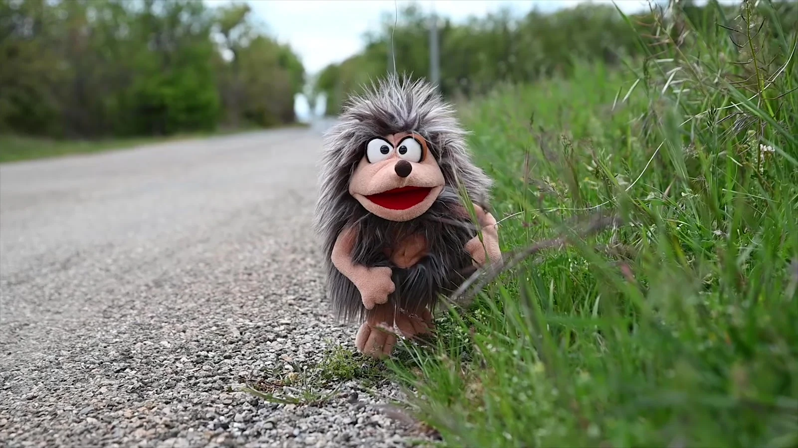 La mascotte, épisode pilote